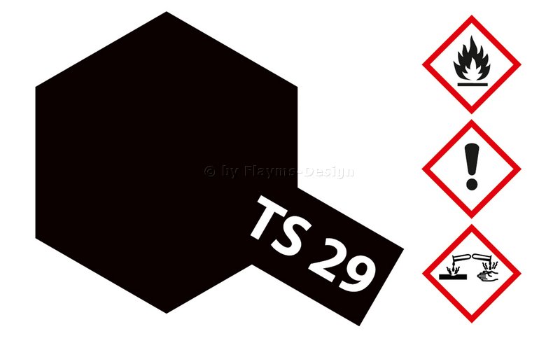 TS-29 schwarz halbglänzend